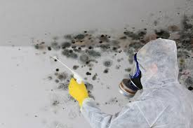 Best Airborne Mold Testing  in Morristown, NJ